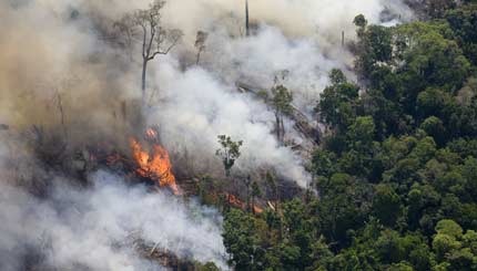 Boeren in Brazilië steken oerwoud in brand