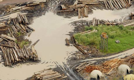 Illegale houtkap in de Amazone