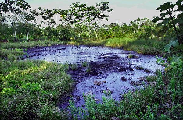 Ecuador stelt voor om niet naar olie te boren