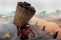 'Braziliaanse houthakkers vernietigen onze aarde'